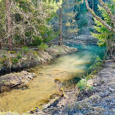 Primula 1 亚沃尔基