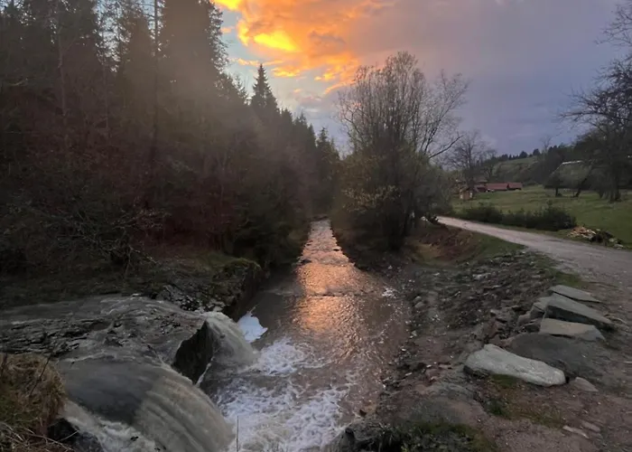 Primula 1 亚沃尔基