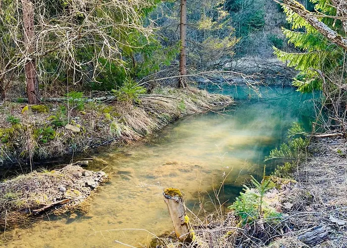 Primula 1 亚沃尔基